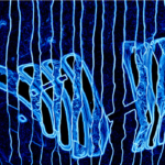 Cold Comfort, digital print on gloss aluminium Dibond, 2018.