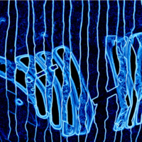 Cold Comfort, digital print on gloss aluminium Dibond, 2018.