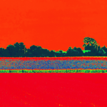 Unnatural Nature - Seeing Red 2018 Copyright Terry W. Scales