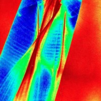 Lightscape (available on Fine Art America)