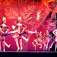 Solitaire Royal Ballet Company choreography Kenneth MacMillan set design by Barry Kay