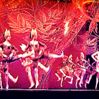 Solitaire Royal Ballet Company choreography Kenneth MacMillan set design by Barry Kay