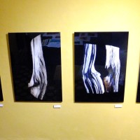 Plas Glyn-Y-Weddw Arts Centre. Artist Terry W Scales 2024