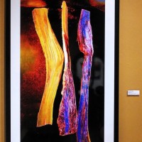 Plas Glyn-Y-Weddw Arts Centre. Artist Terry W Scales 2024